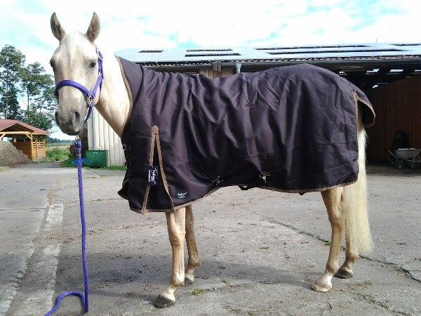 Regendecke Raincape auf Quarter Horse